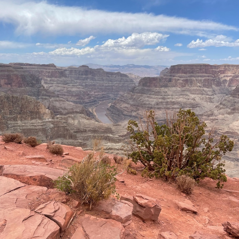 Meet your Posher, Mallory